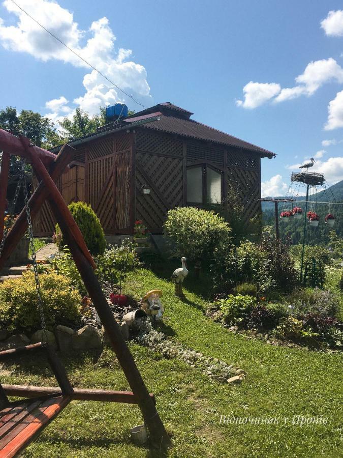 Відпочинок У Пронів Hotel Slavske Buitenkant foto