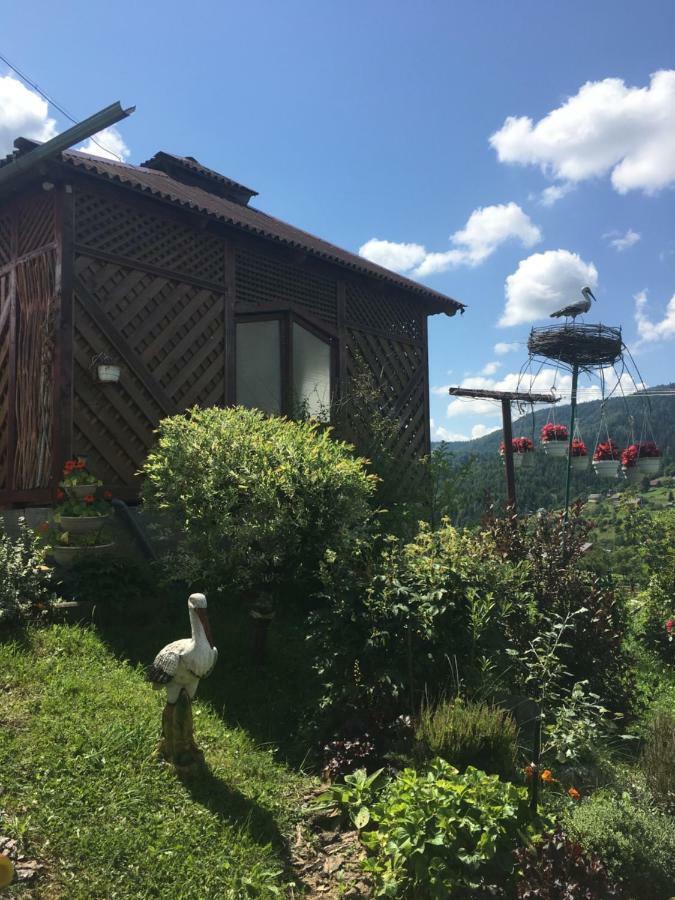Відпочинок У Пронів Hotel Slavske Buitenkant foto
