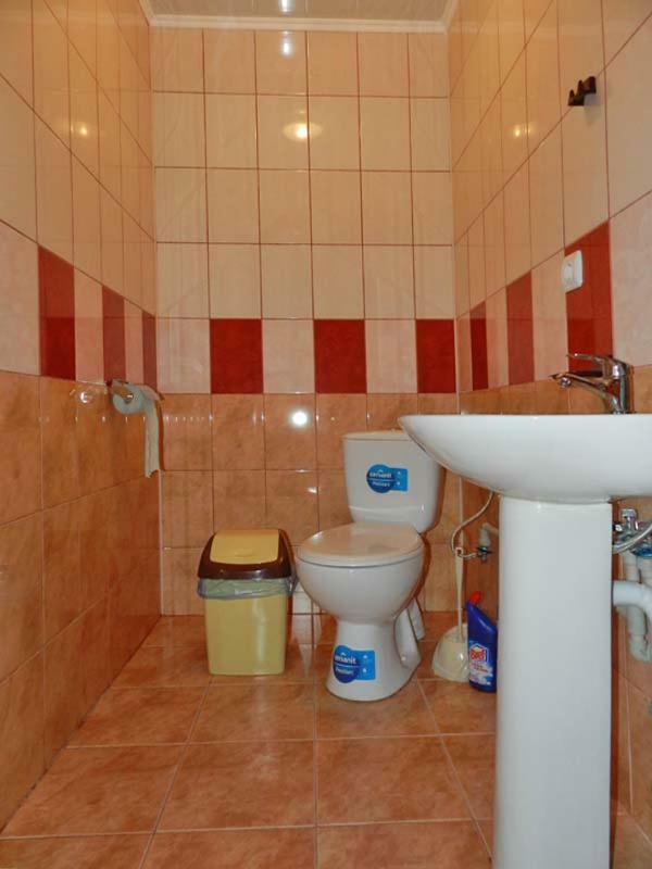 Відпочинок У Пронів Hotel Slavske Buitenkant foto