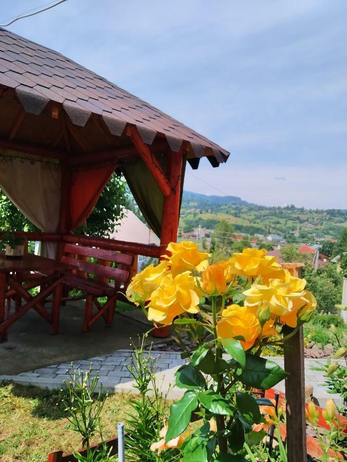 Відпочинок У Пронів Hotel Slavske Buitenkant foto