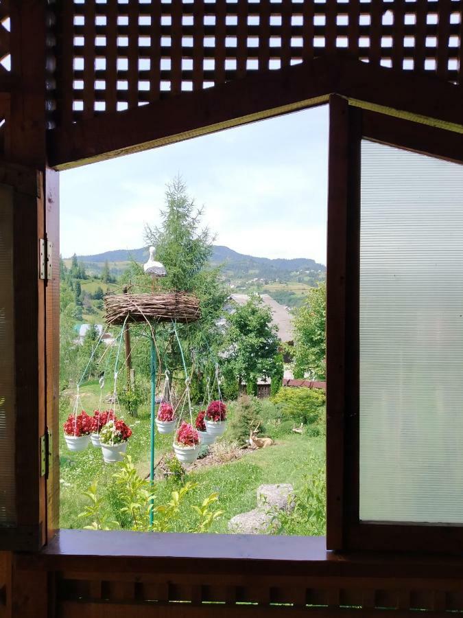 Відпочинок У Пронів Hotel Slavske Buitenkant foto